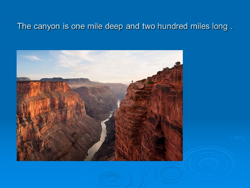 The canyon is one mile deep and two hundred miles long .